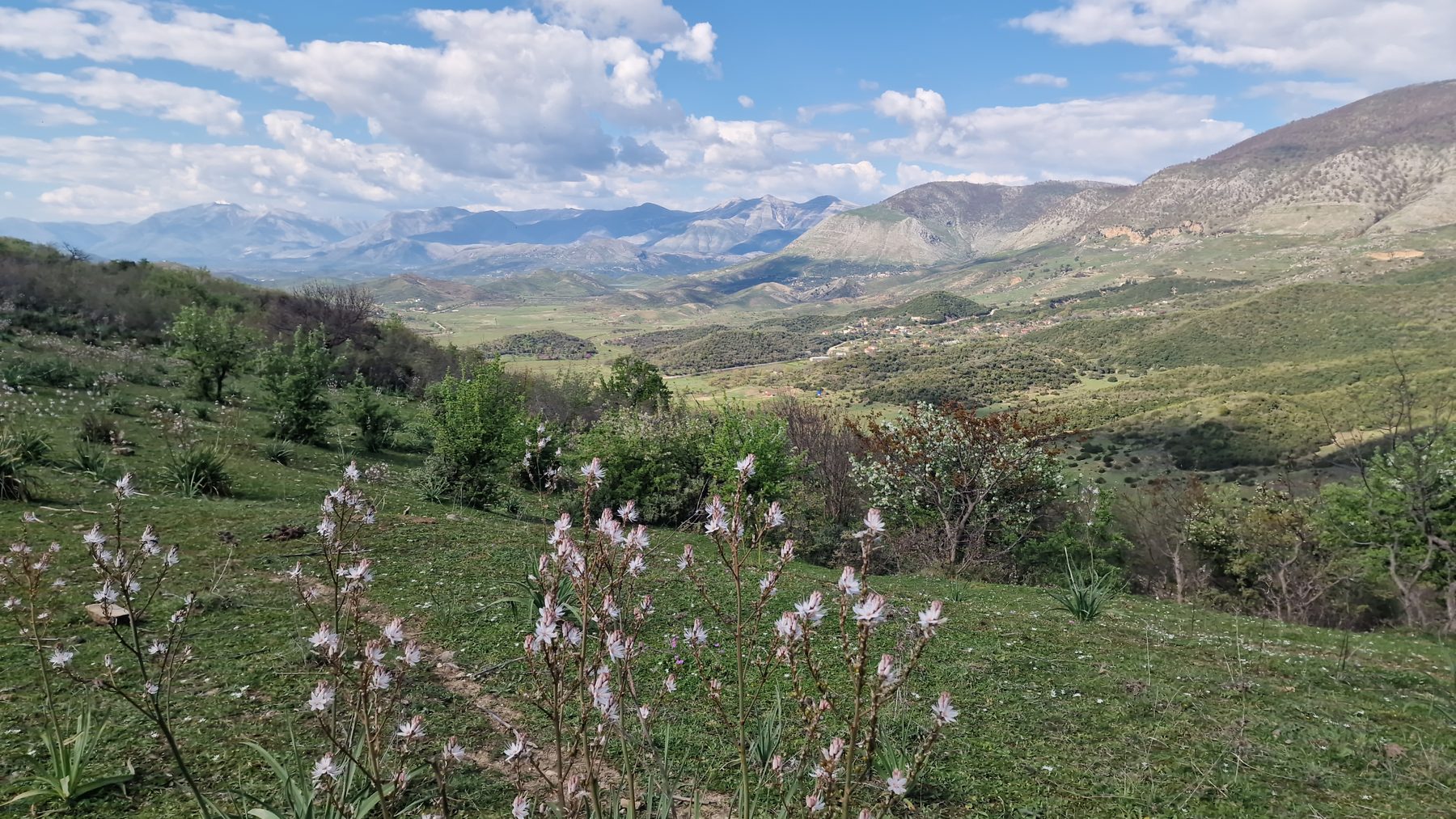 A broad valley of spring meadows