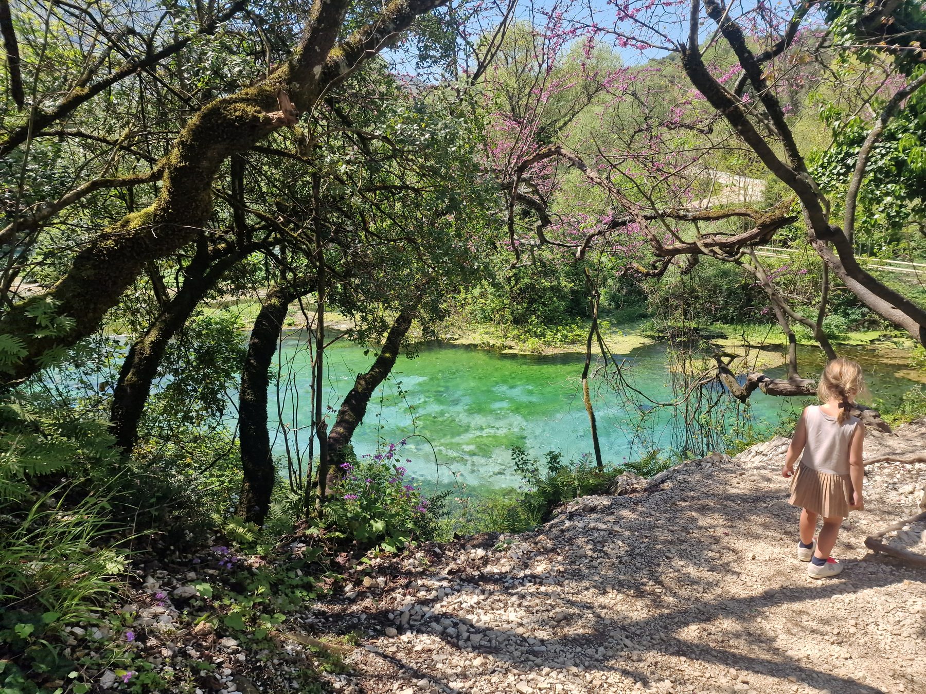 Clear water beside the path