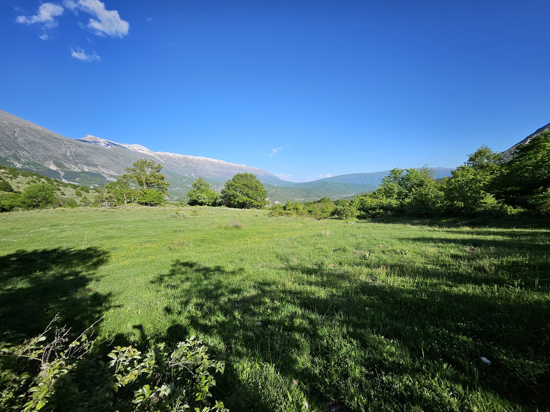 Green pastures beneath the peaks