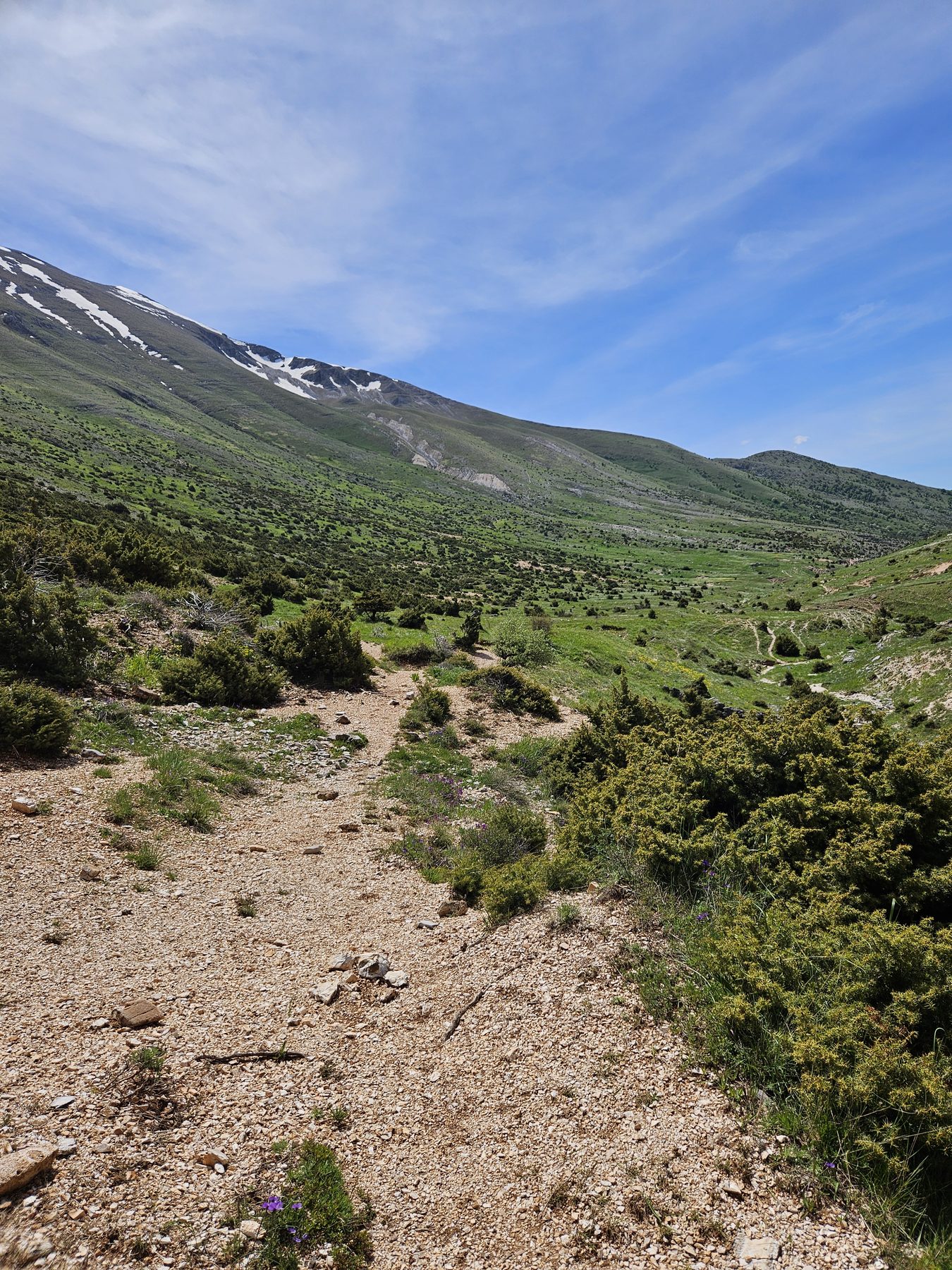 A green alpine valley