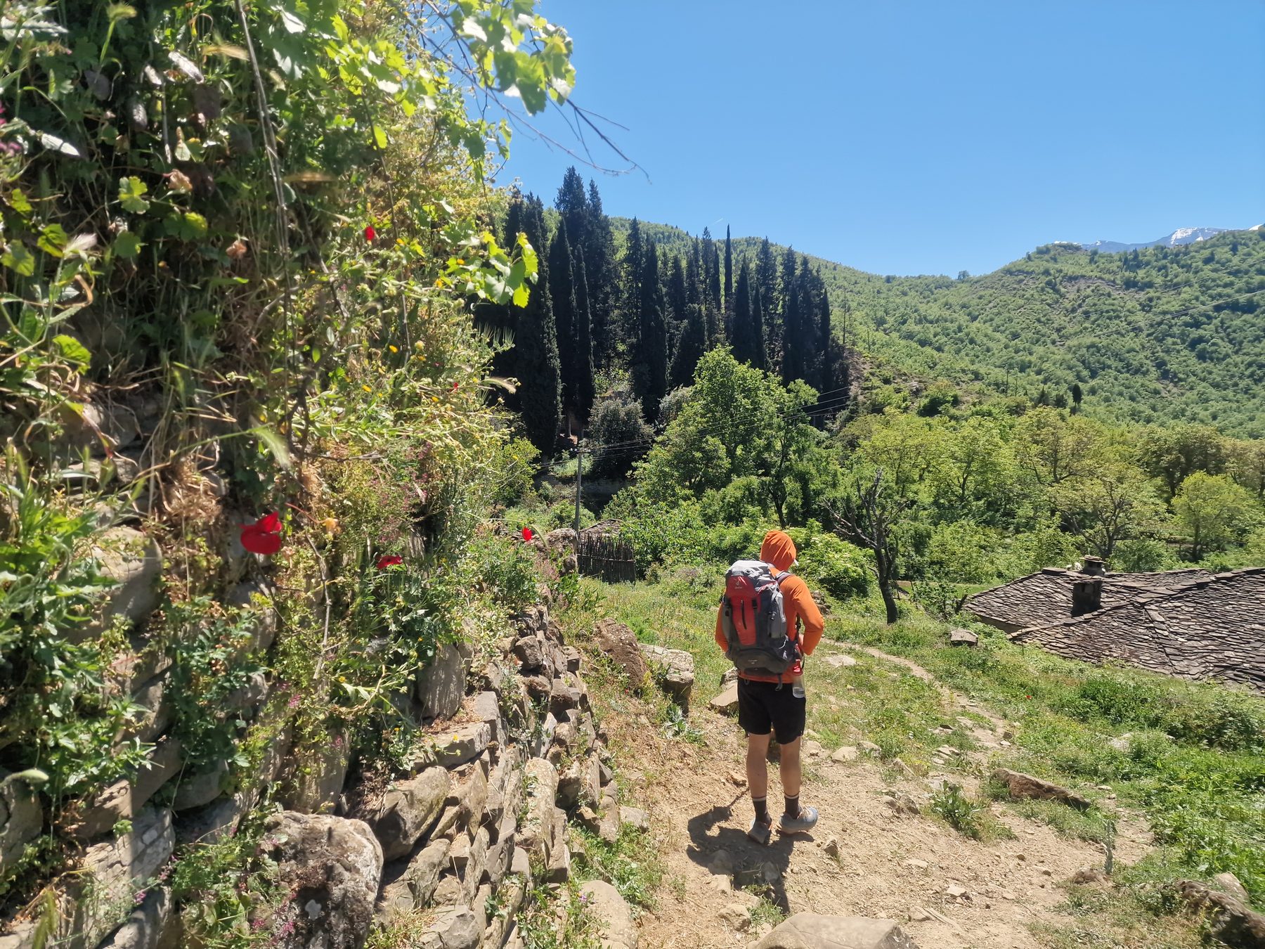 A hiker on the green path to Delvinë