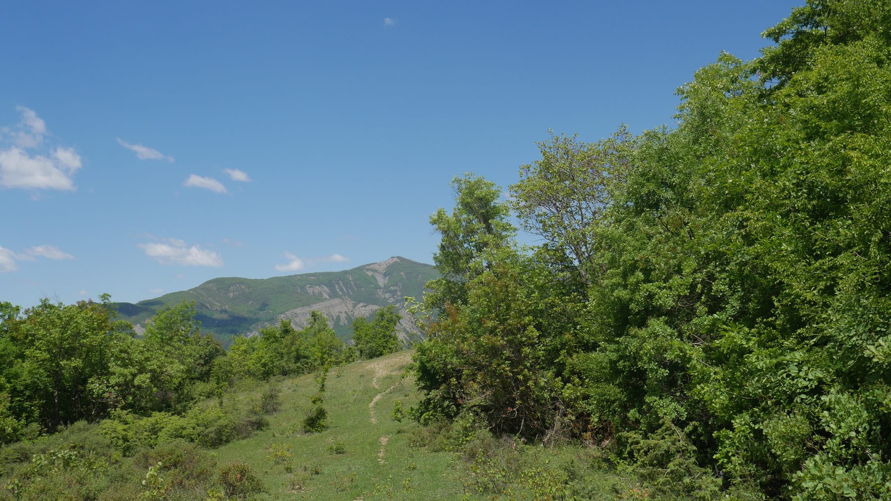 The valley opens out toward Delvinë