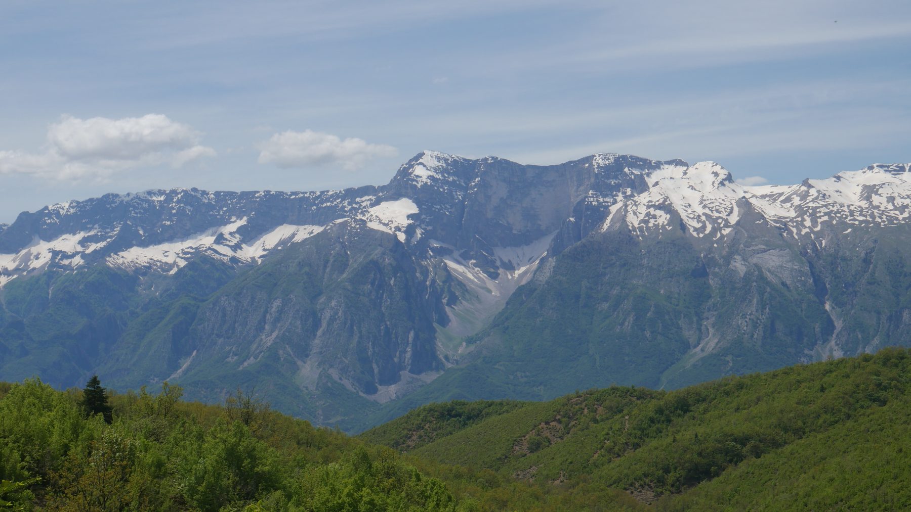 Forest and snow-capped mountains