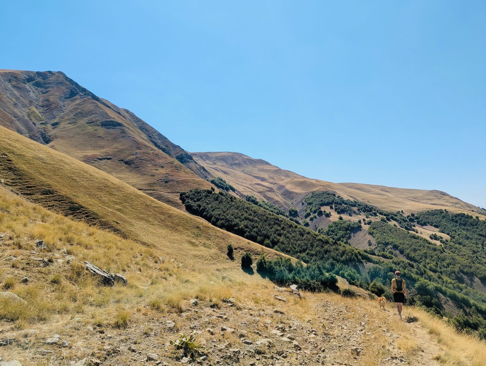 A panorama of the golden ridges